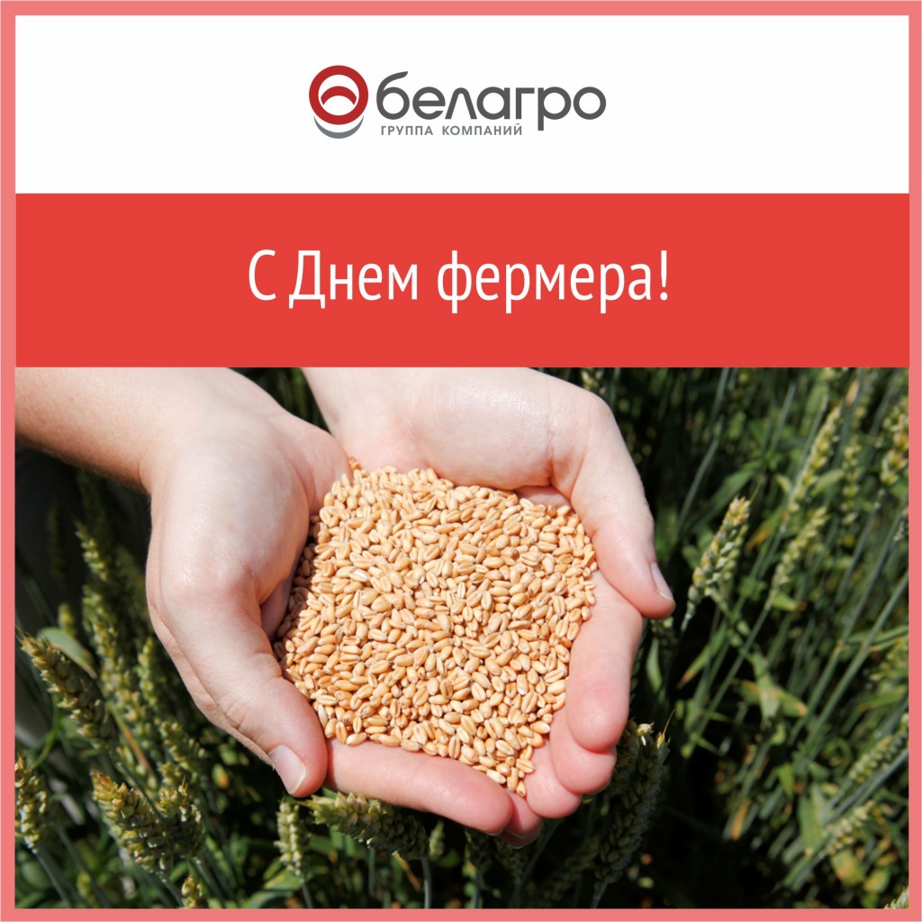 сднемфермера.jpg сднемфермера.jpg